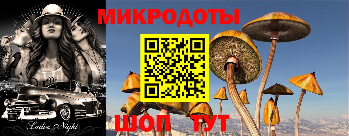 Псилоцибиновые грибы мухоморы  Псилоцибиновые грибы ЛСД  Майкоп  Вход с VPN 
